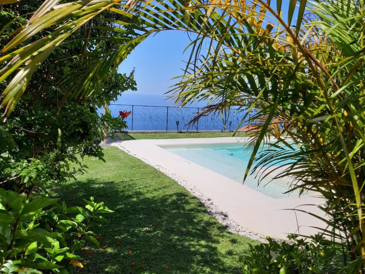 Casa Velha D Fernando E Casa Avo Augusta Otel Ribeira Brava Dış mekan fotoğraf