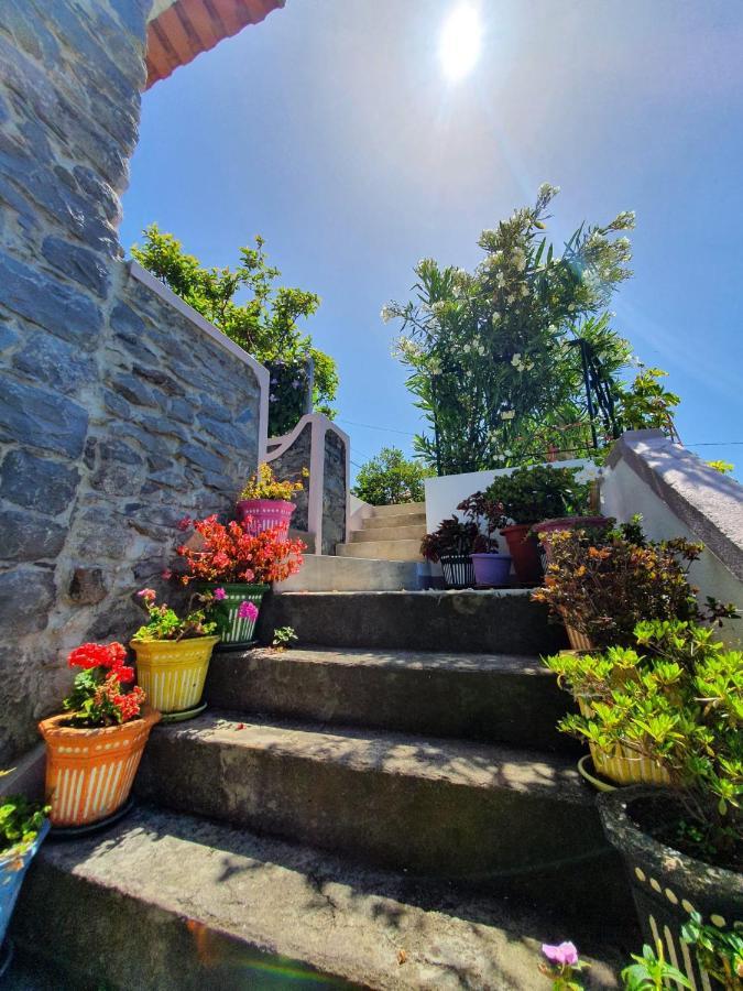 Casa Velha D Fernando E Casa Avo Augusta Otel Ribeira Brava Dış mekan fotoğraf