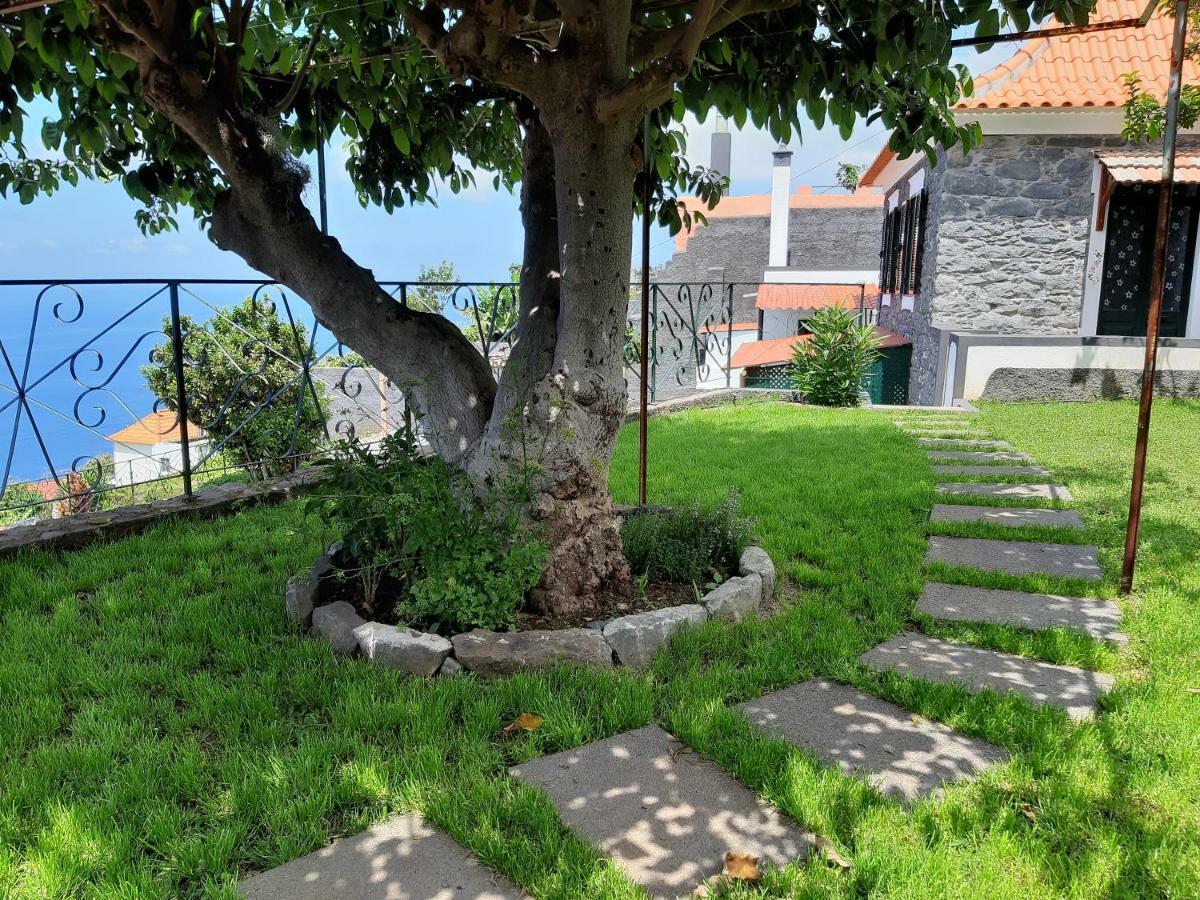 Casa Velha D Fernando E Casa Avo Augusta Otel Ribeira Brava Dış mekan fotoğraf