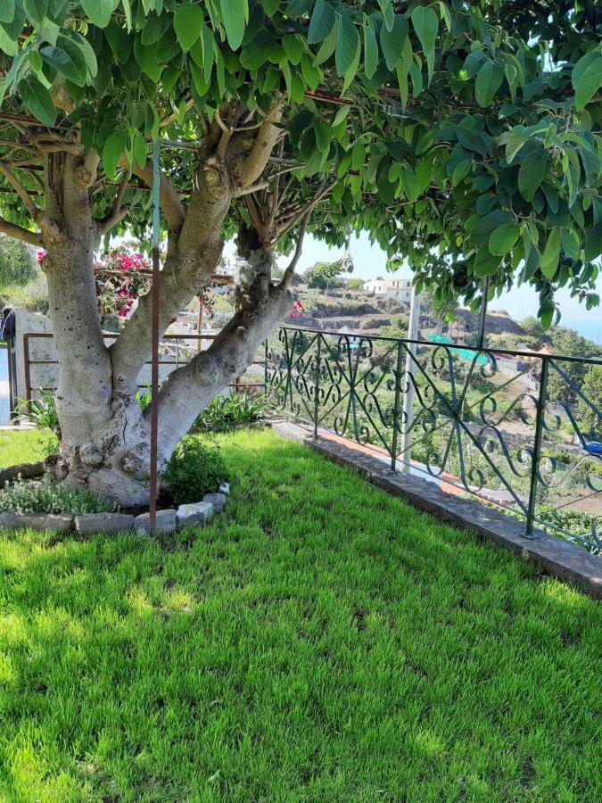 Casa Velha D Fernando E Casa Avo Augusta Otel Ribeira Brava Dış mekan fotoğraf